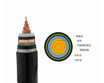 ZC-YJV62 26/35KV 双菱电缆